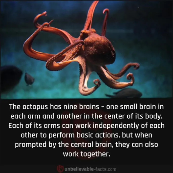 Did You Know?