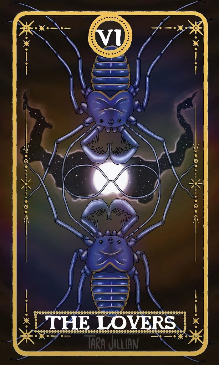 The Lovers / Whip Spider