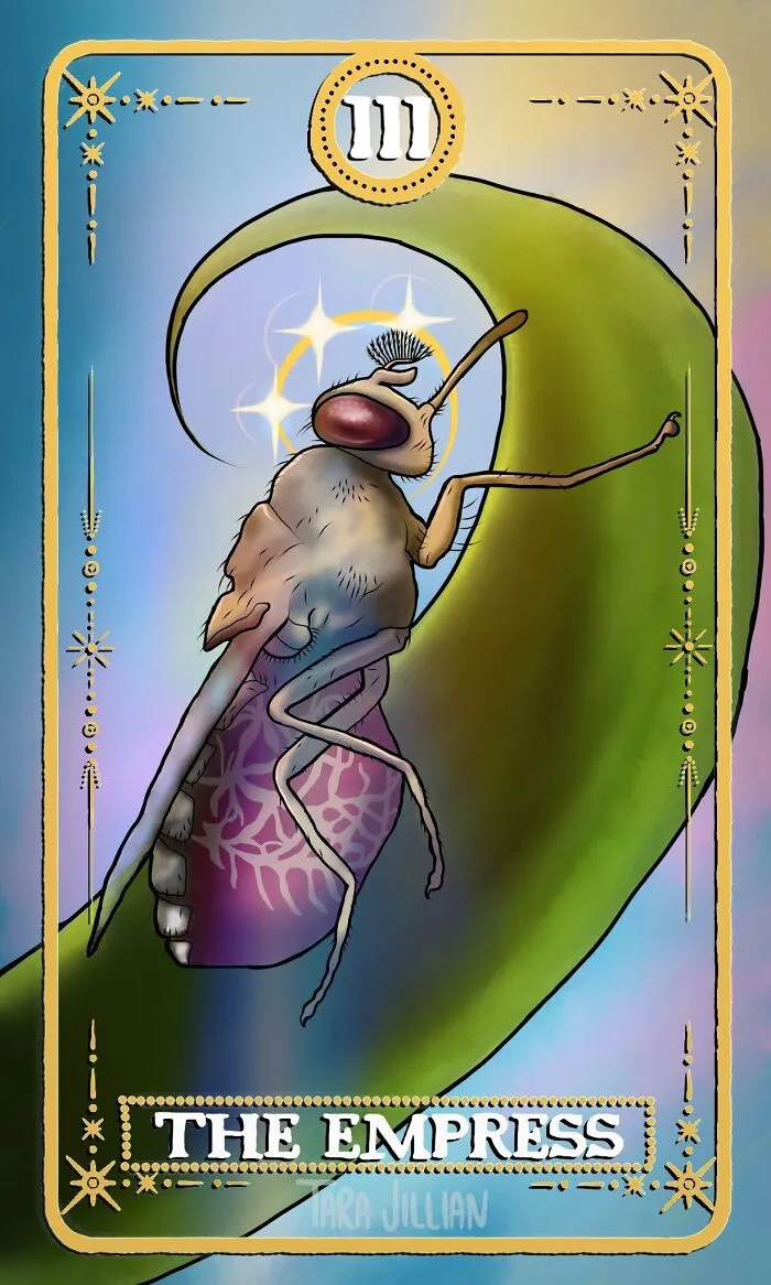 The Empress / Tsetse Fly