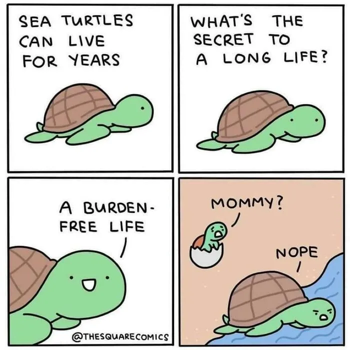 Yeet!