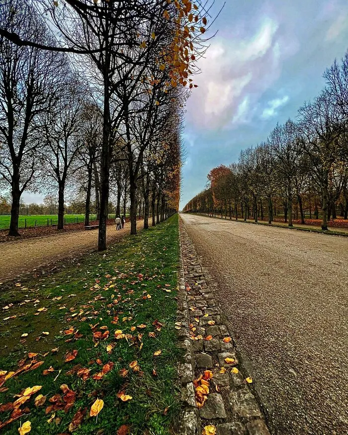 Una calle en Versalles