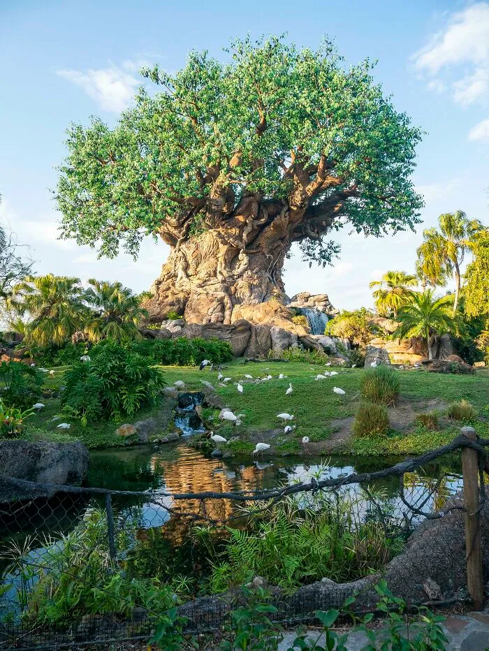 El árbol de la vida