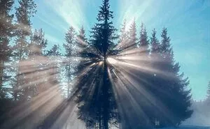 40 Times People Couldn’t Believe The Beauty They Managed To Capture In A Photo (New Pics)