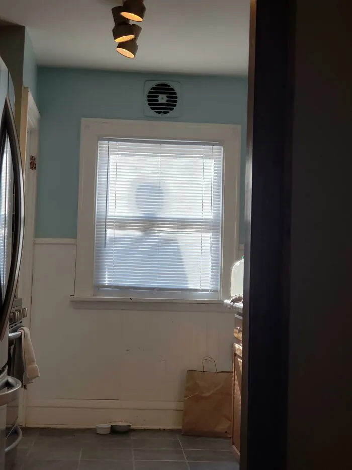 Every Morning At 11 Or So, Window Man Shows Up And Scares The Bejesus Out Of Me (My Neighbor's Chimney)
