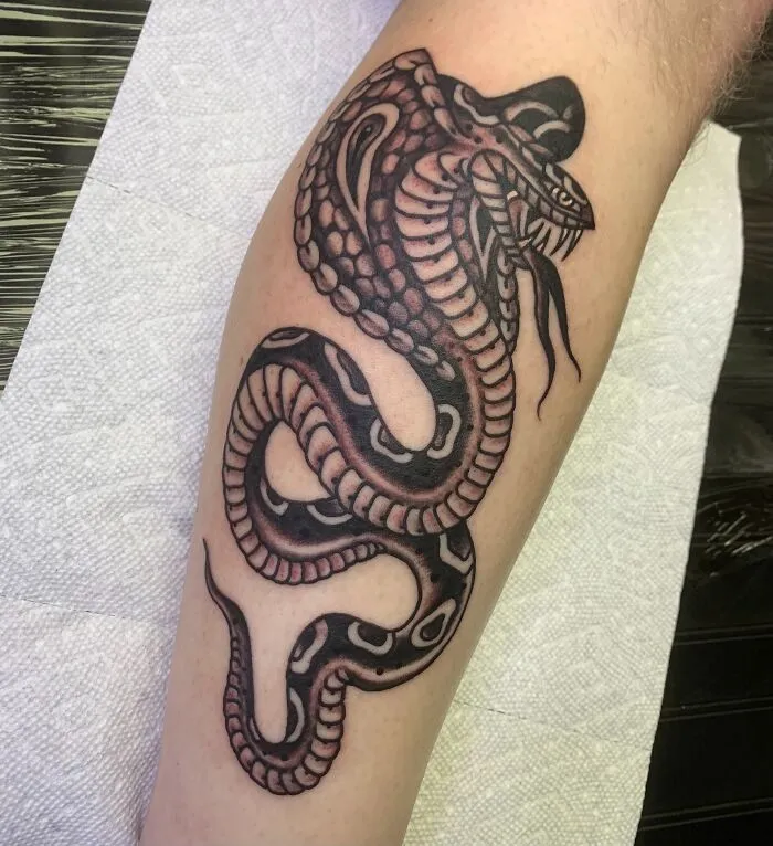 American traditional snake tattoo on an arm, showcasing bold black and white design.