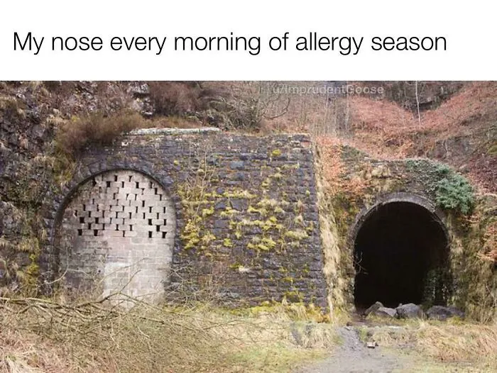 Morning Struggles During Allergy Season