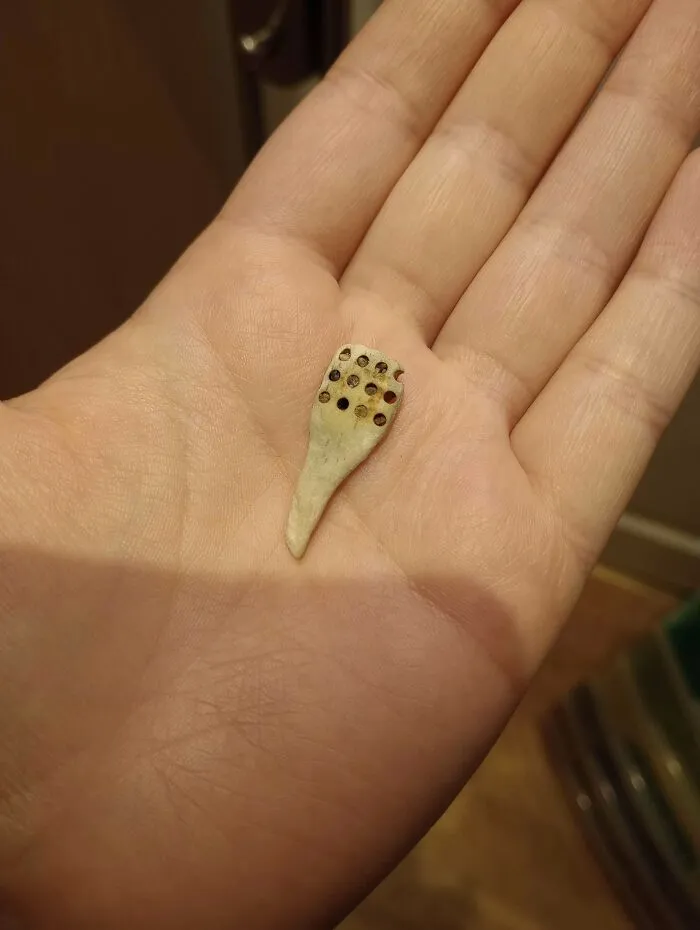 What Is This Object I Found On A Beach In Yorkshire That Has Holes In And Feels Like A Mix Between Stone And Plastic