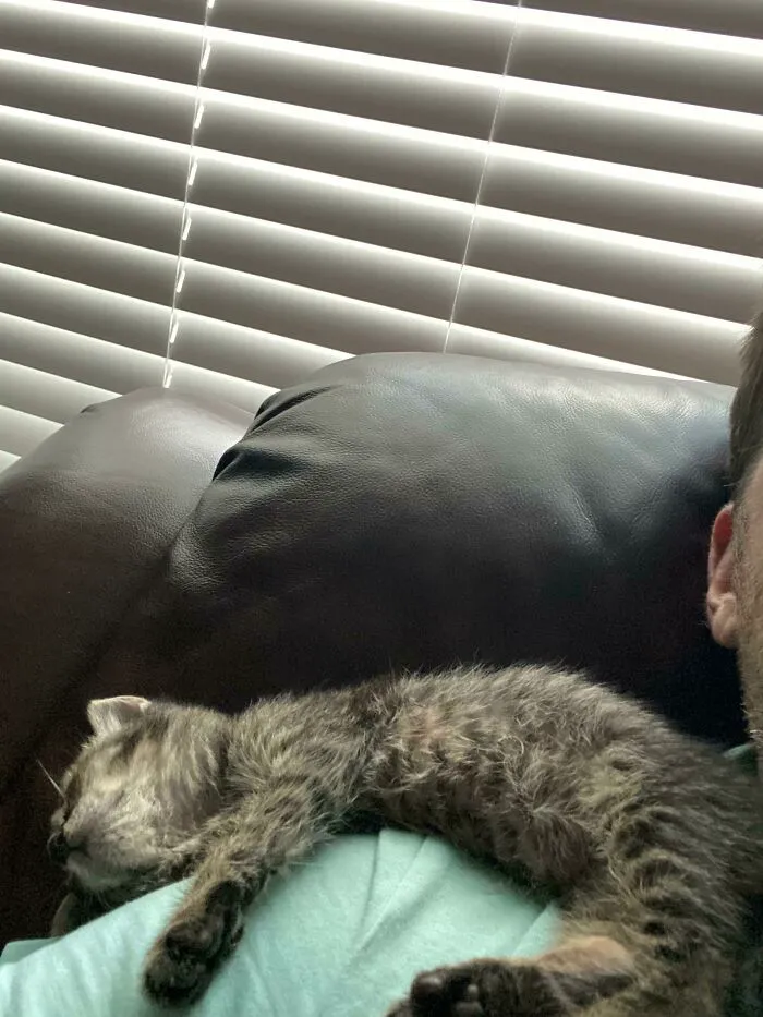 [oc] Daughter Brought Her Home Two Weeks Ago. Nursed For A Week With Kmr. Now We Cook A Little Chicken For Her (She Won’t Eat Fancy Feast Yet). Single Dad With Two Kids And Never Had A Kitten Before
