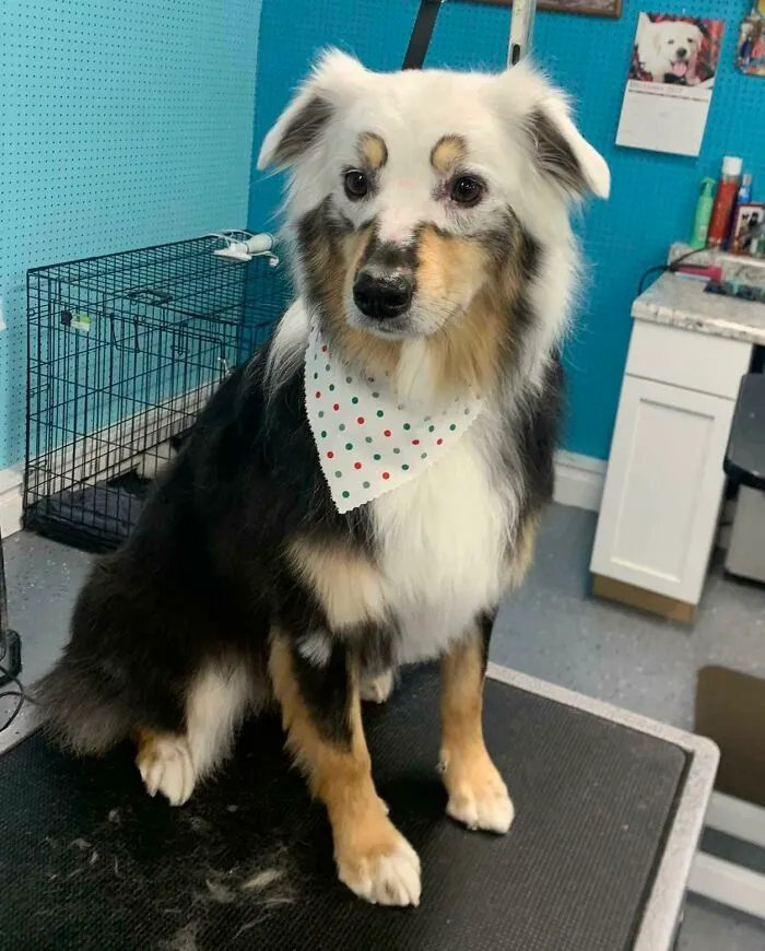 This Is Heidi. Heidi Has Vitiligo