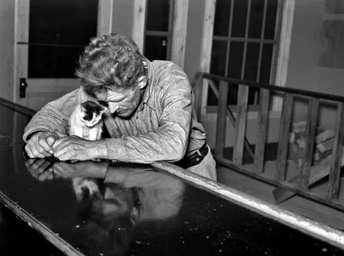 Woodcutter Spending His Saturday Night At A Bar In Craigville, Minnesota (1937)