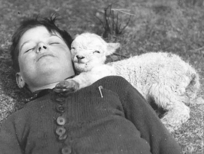 Farm Boy With A Newly-Born Lamb :: 1940