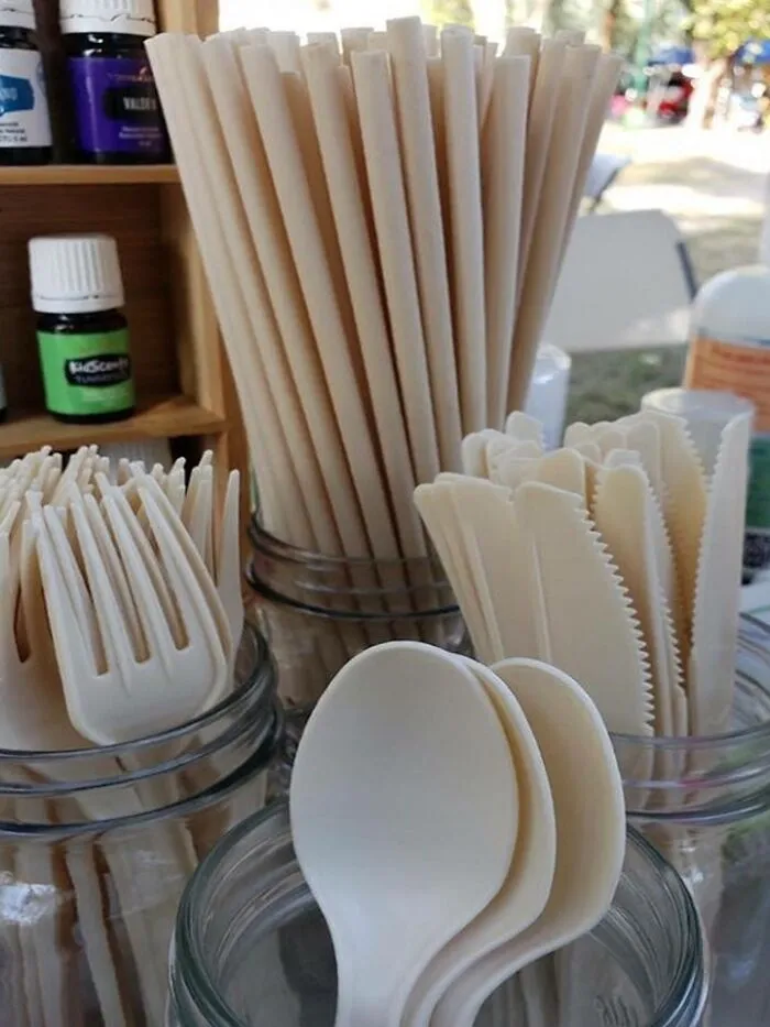 Bioplástico hecho con huesos de aguacate, se degradan totalmente en 240 días, creados en México