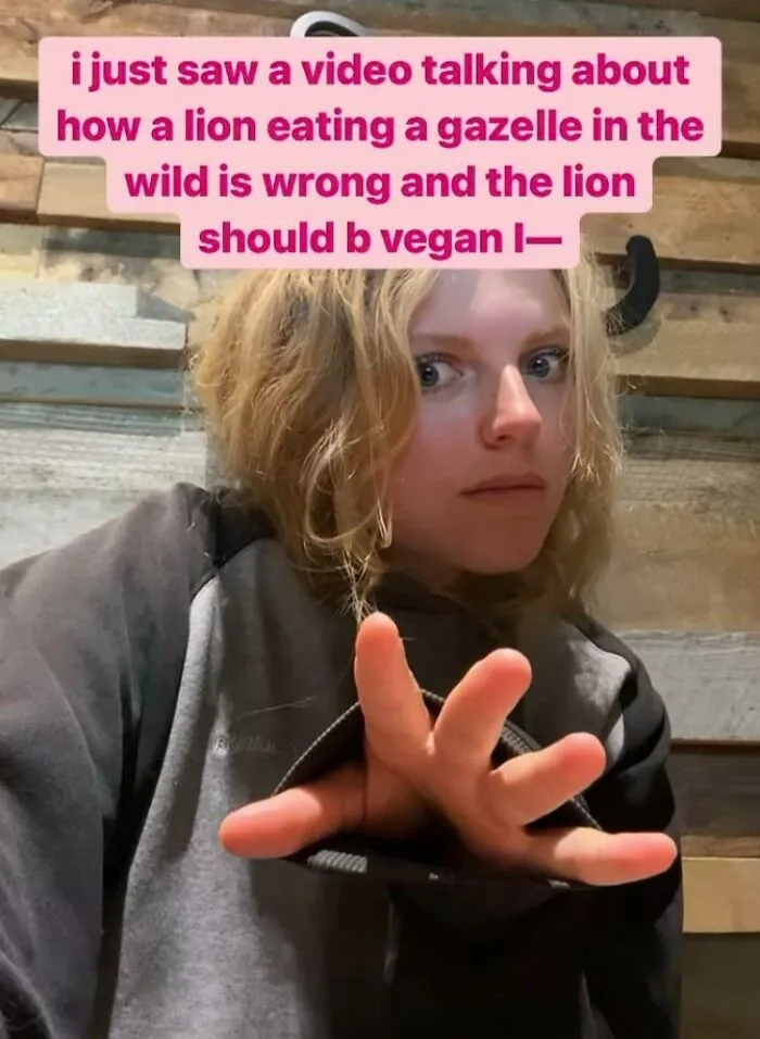 Vegan Lions