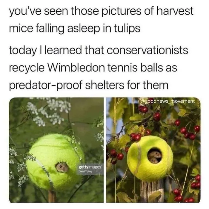 Blessed Shelters