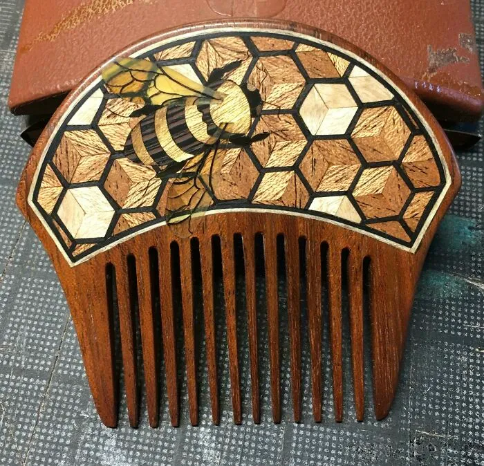 Peine con abeja sobre su panal