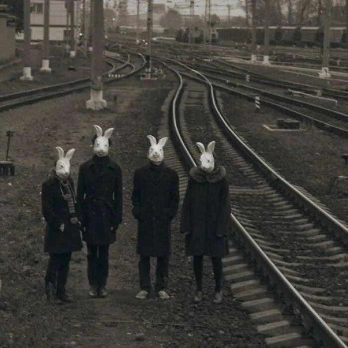 Bunnyland Photos By Russian Photographer Alena Belijakova