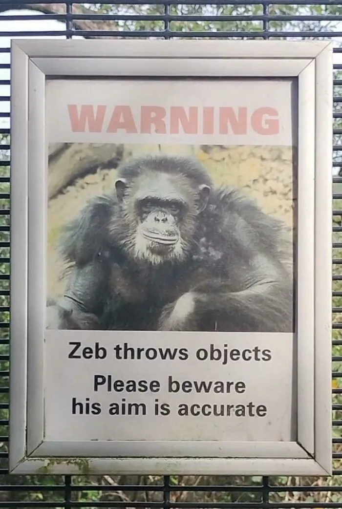AVISO: Zeb lanza objetos. Por favor, cuidado, tiene buena puntería