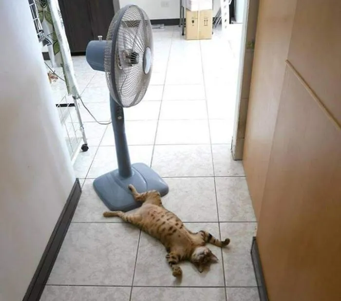 Hot Day