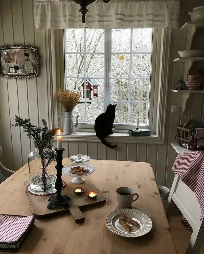 Cozy Morning