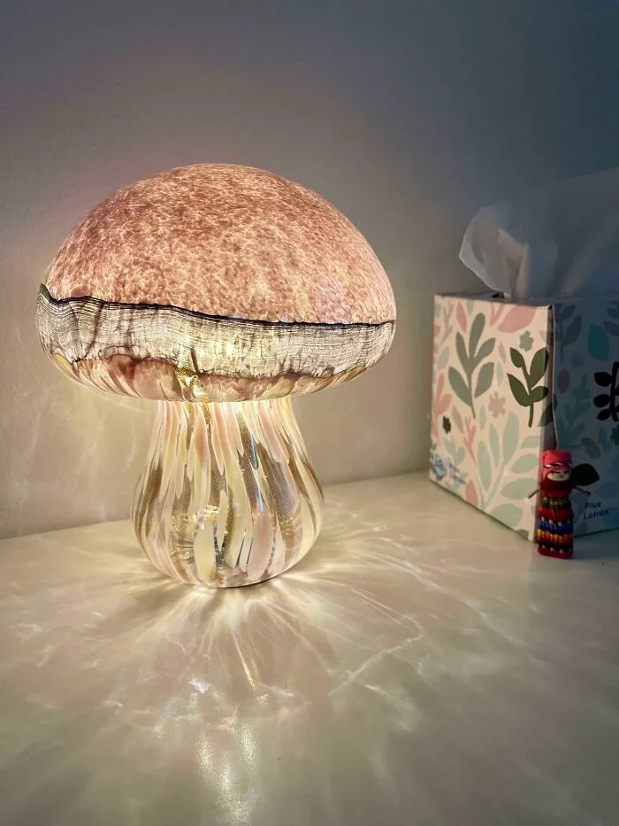 The Precious Mushroom Lamp I Purchased Today