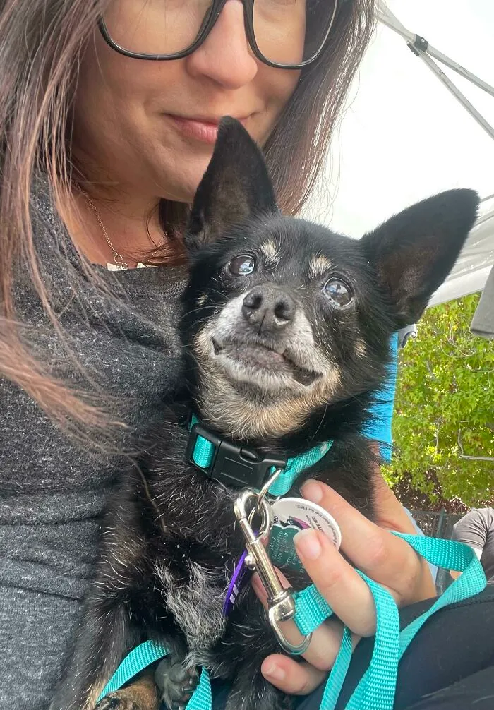 Meet My Newest Hospice Adoptee, Elfin Rabbit, 15 Years Old!