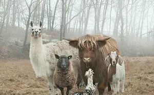 50 Mildly Amusing Things To Brighten Up Your Day, As Shared By This Group