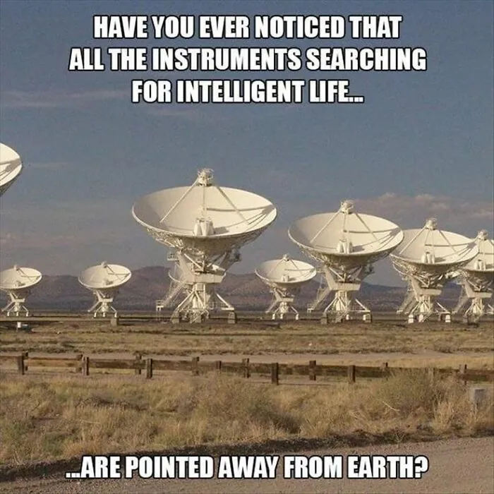 Everyone Is Dumb