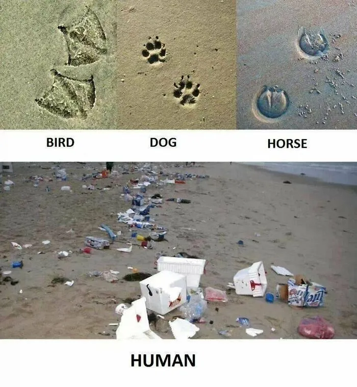 Human Footprint