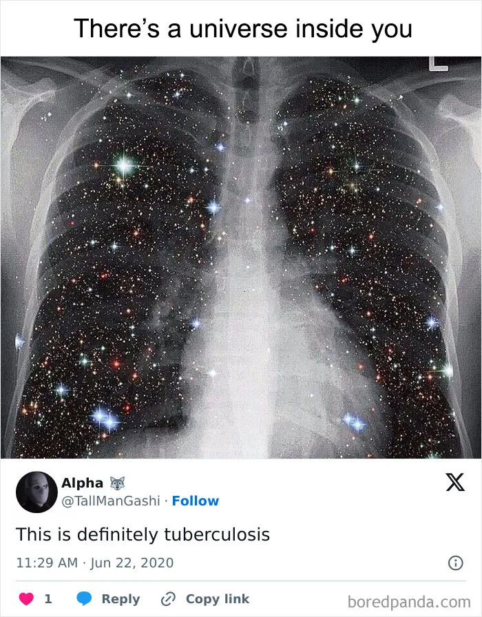 50 Weird Memes That Verge On Being Unhinged