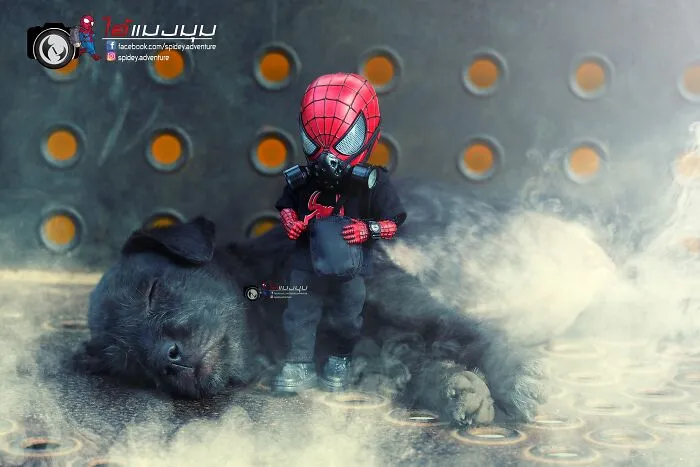 The Adventures Of Baby Spidey And His Cute Animal Pals: 30 New Photos By This Artist