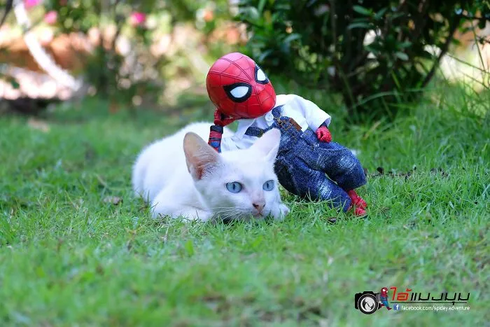 The Adventures Of Baby Spidey And His Cute Animal Pals: 30 New Photos By This Artist
