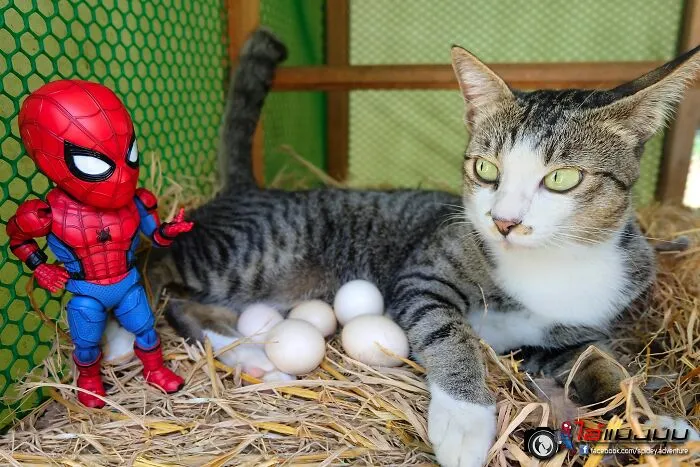 The Adventures Of Baby Spidey And His Cute Animal Pals: 30 New Photos By This Artist