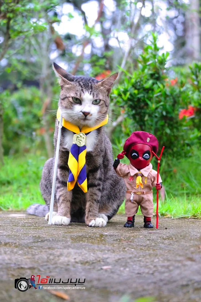 The Adventures Of Baby Spidey And His Cute Animal Pals: 30 New Photos By This Artist