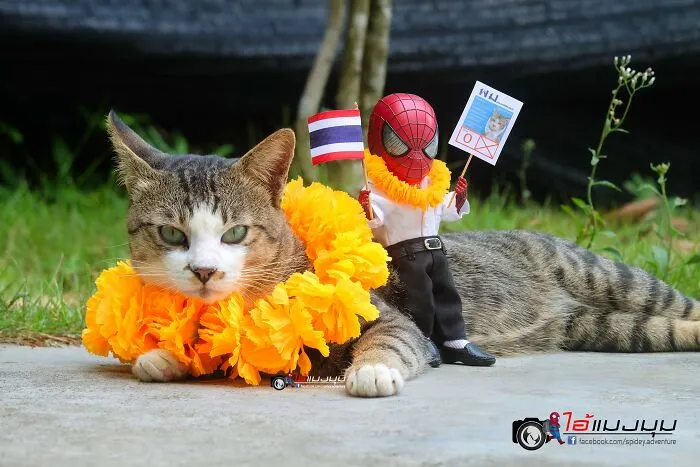 The Adventures Of Baby Spidey And His Cute Animal Pals: 30 New Photos By This Artist