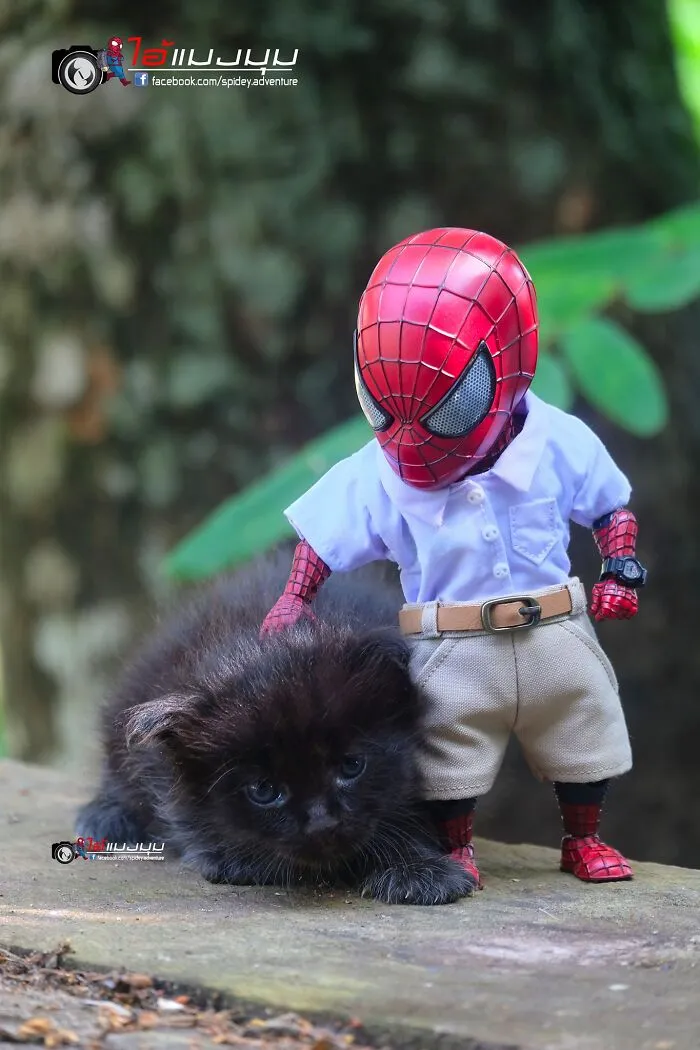 The Adventures Of Baby Spidey And His Cute Animal Pals: 30 New Photos By This Artist