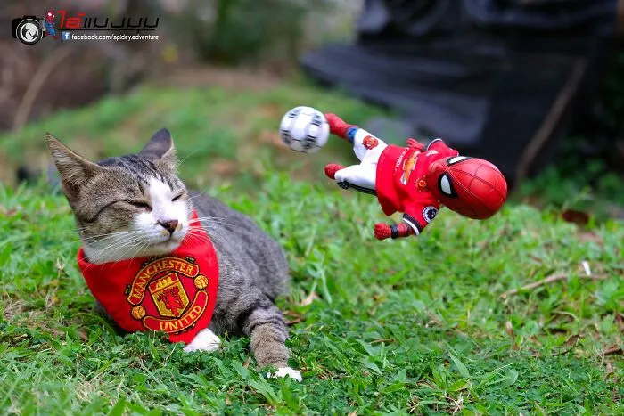 The Adventures Of Baby Spidey And His Cute Animal Pals: 30 New Photos By This Artist