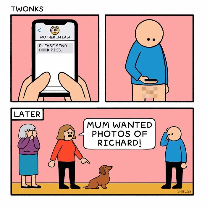 35 New Sarcasm-Filled Comics By SNELSE That Might Leave You Laughing