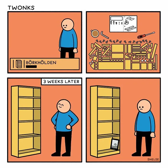 35 New Sarcasm-Filled Comics By SNELSE That Might Leave You Laughing