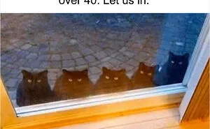50 Weird Memes That Verge On Being Unhinged