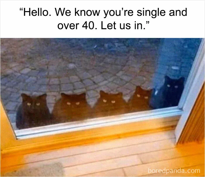50 Weird Memes That Verge On Being Unhinged