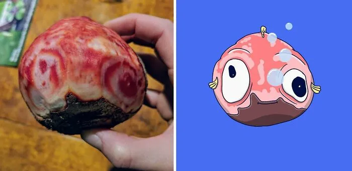 Artist Redraws 20 Funny Examples Of Pareidolia In Everyday Life And Turns It Into Fun Illustrations (New Pics)