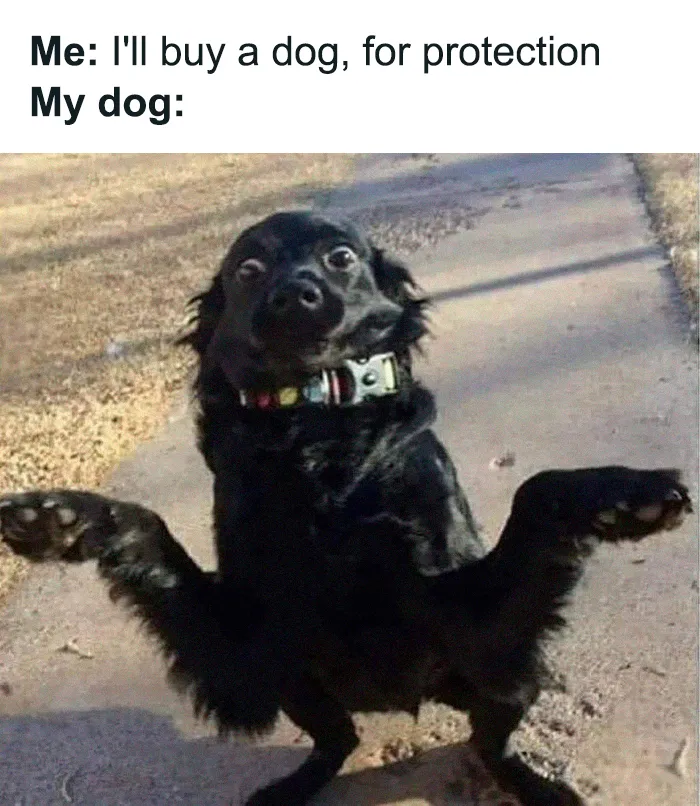 50 Hilariously Relatable Memes, As Seen On This IG Page