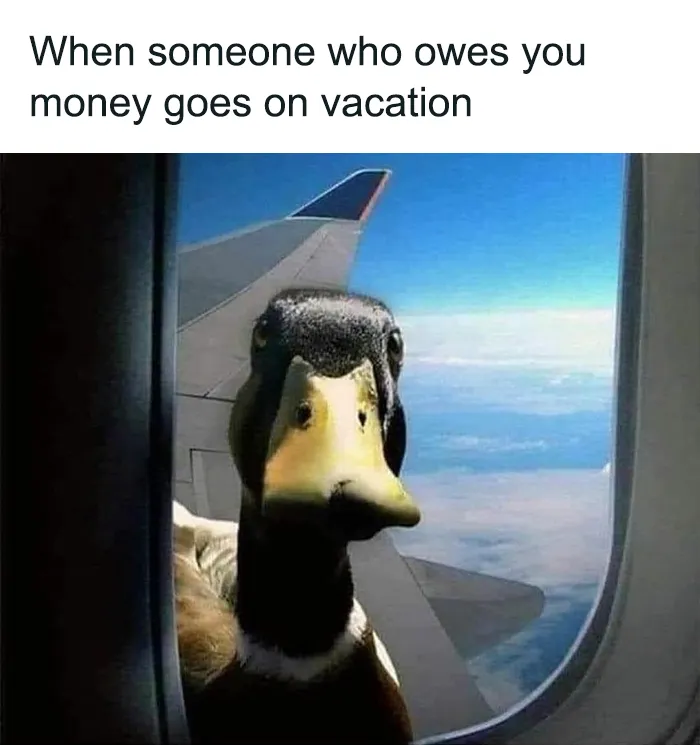 50 Hilariously Relatable Memes, As Seen On This IG Page