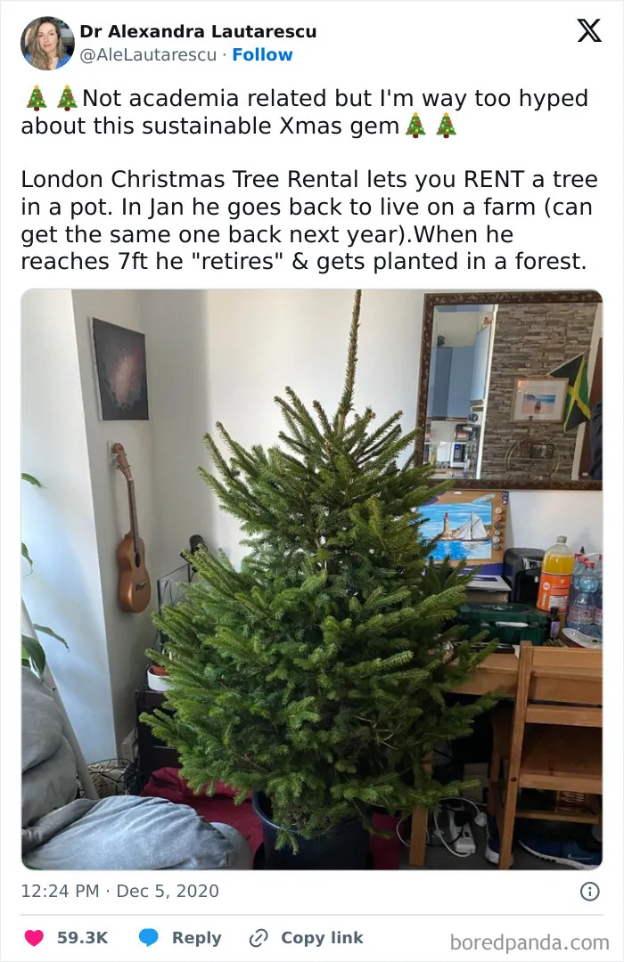 Why Have I Never Seen Anything Like This?