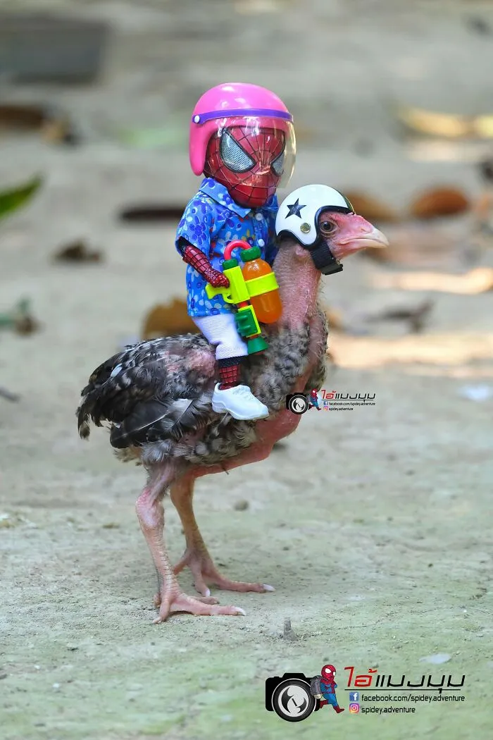 The Adventures Of Baby Spidey And His Cute Animal Pals: 30 New Photos By This Artist