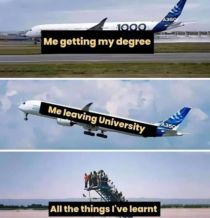 Three-part weird meme of planes labeled as degree, university exit, and learning experiences.
