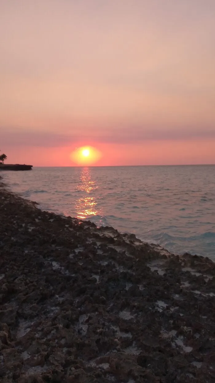 🌅☀️👌