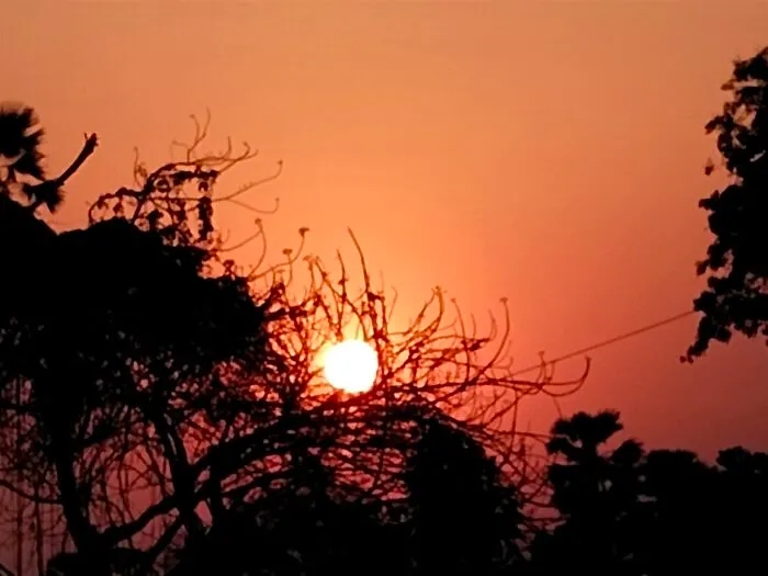 A Sunset Picture I Took This Spring