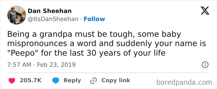 "Really Dumb Tweets": 50 Pearls From Twitter Posted By This Account