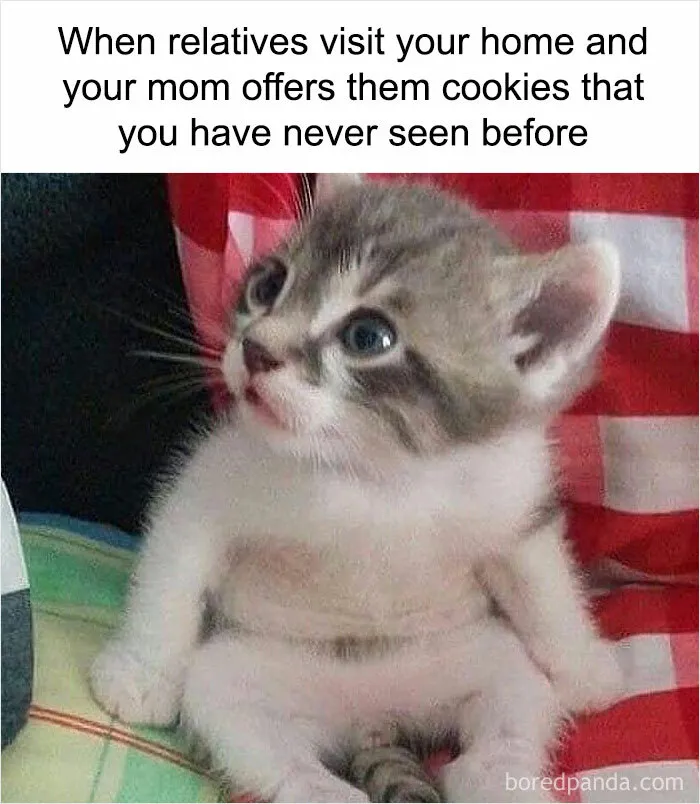 50 Weird Memes That Verge On Being Unhinged